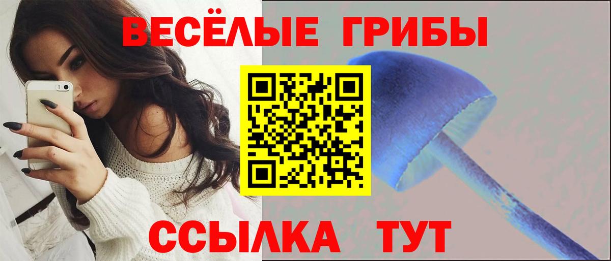 Галлюциногенные грибы мухоморы Дзержинск
